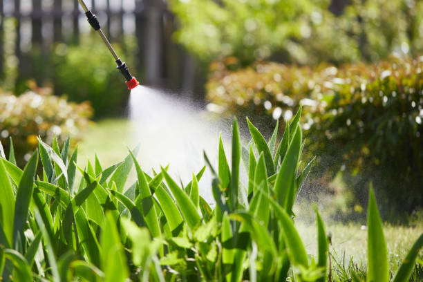 24/7 Emergency Mosquito Control experts in Duncanville, TX