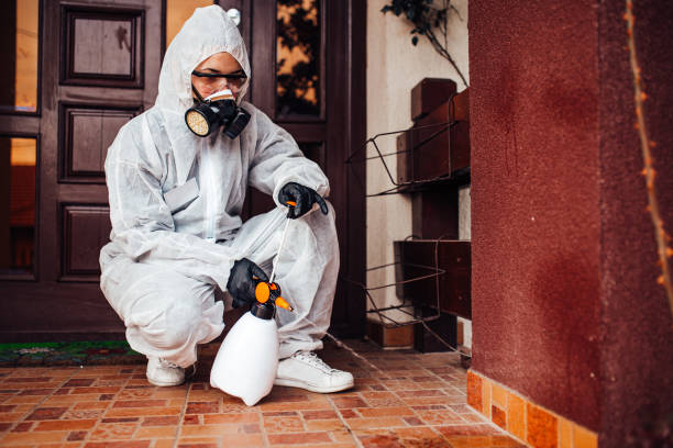 Reliable Mosquito Control contractor in Duncanville, TX by Show Me Pest Control