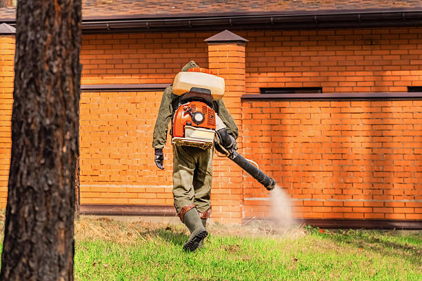 Top rated local Mosquito Control specialists in Duncanville, TX